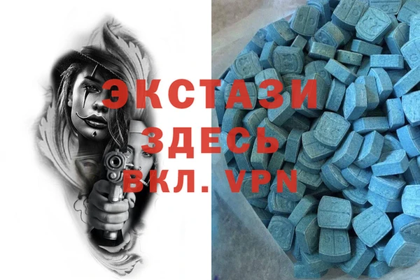 ECSTASY Елизово